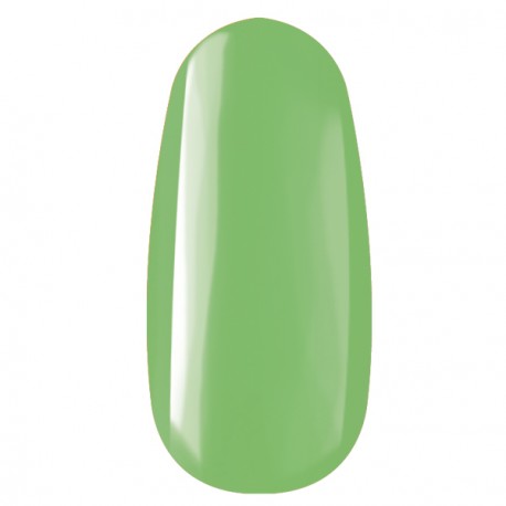 R99 ROYAL gel 4,5 ml 