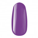 R196 ROYAL gel 4,5 ml