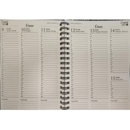 Crystal Nails - Diář 2026 Lime